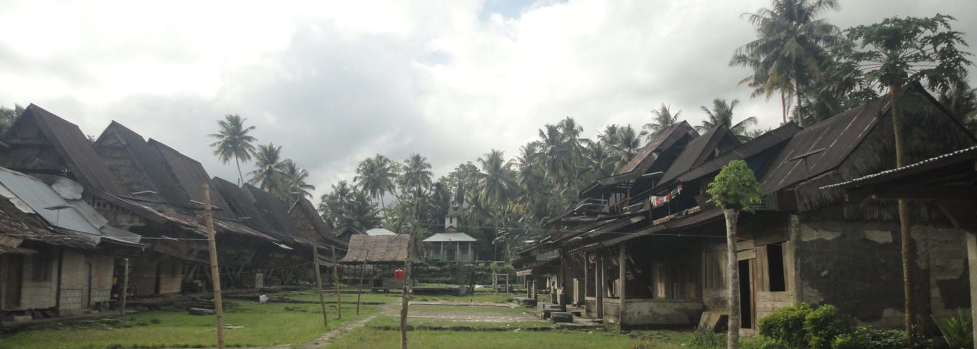 Botohosi Village